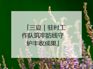 三夏｜驻村工作队筑牢防线守护丰收成果