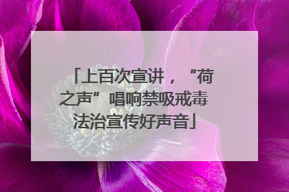 上百次宣讲，“荷之声”唱响禁吸戒毒法治宣传好声音