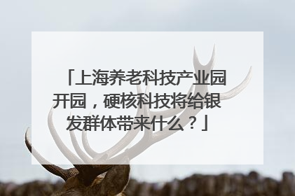 上海养老科技产业园开园，硬核科技将给银发群体带来什么？