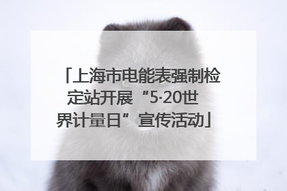 上海市电能表强制检定站开展“5·20世界计量日”宣传活动