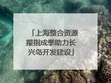 上海整合资源攥指成拳助力长兴岛开发建设