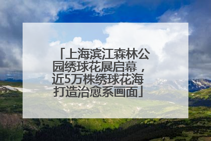 上海滨江森林公园绣球花展启幕，近5万株绣球花海打造治愈系画面