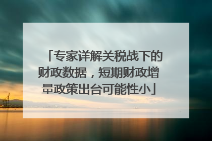 专家详解关税战下的财政数据，短期财政增量政策出台可能性小