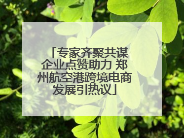 专家齐聚共谋 企业点赞助力 郑州航空港跨境电商发展引热议