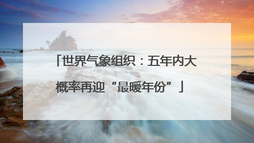 世界气象组织：五年内大概率再迎“最暖年份”