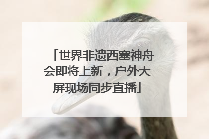 世界非遗西塞神舟会即将上新，户外大屏现场同步直播