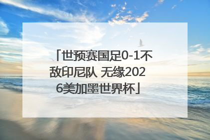 世预赛国足0-1不敌印尼队 无缘2026美加墨世界杯