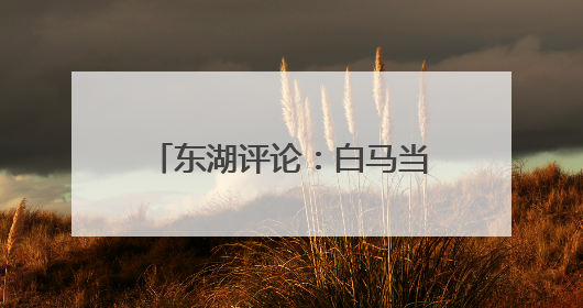 东湖评论：白马当选“湖北好人”，是对动物伙伴道德价值的深情褒奖