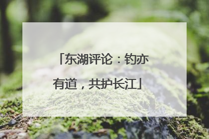 东湖评论：钓亦有道，共护长江
