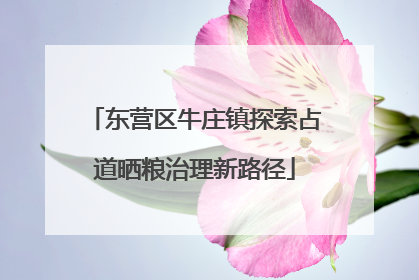 东营区牛庄镇探索占道晒粮治理新路径