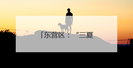 东营区：“三夏”农忙正当时