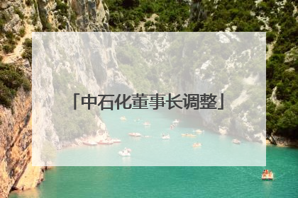 中石化董事长调整