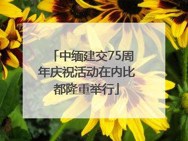 中缅建交75周年庆祝活动在内比都隆重举行
