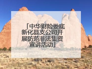 中华财险娄底新化县支公司开展防范非法集资宣讲活动