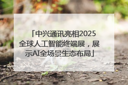 中兴通讯亮相2025全球人工智能终端展，展示AI全场景生态布局