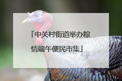 中关村街道举办粽情端午便民市集