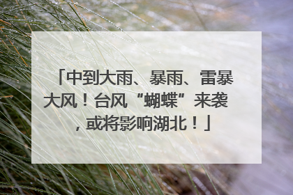 中到大雨、暴雨、雷暴大风！台风“蝴蝶”来袭，或将影响湖北！