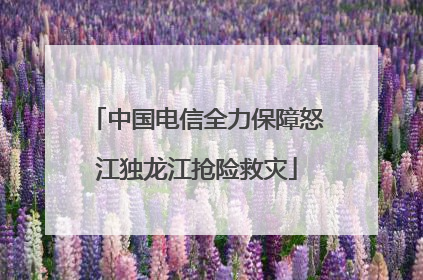中国电信全力保障怒江独龙江抢险救灾