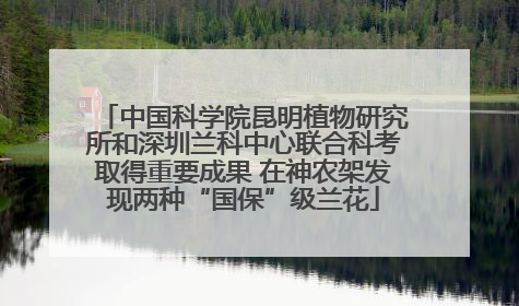 中国科学院昆明植物研究所和深圳兰科中心联合科考取得重要成果 在神农架发现两种“国保”级兰花