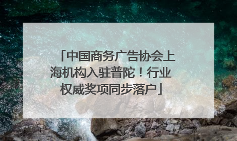 中国商务广告协会上海机构入驻普陀！行业权威奖项同步落户