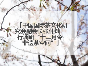 中国国际茶文化研究会副会长张仲灿一行调研“十二月令·非遗茶空间”