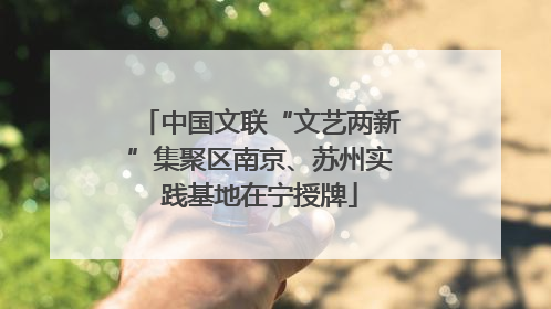 中国文联“文艺两新”集聚区南京、苏州实践基地在宁授牌