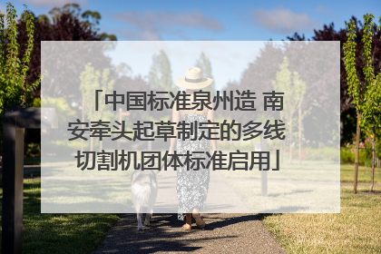 中国标准泉州造 南安牵头起草制定的多线切割机团体标准启用