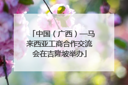 中国（广西）—马来西亚工商合作交流会在吉隆坡举办