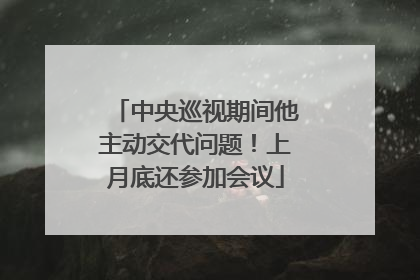中央巡视期间他主动交代问题！上月底还参加会议