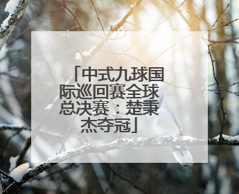 中式九球国际巡回赛全球总决赛：楚秉杰夺冠
