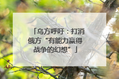 乌方呼吁：打消俄方“有能力赢得战争的幻想”