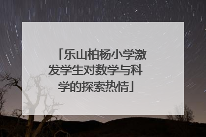 乐山柏杨小学激发学生对数学与科学的探索热情