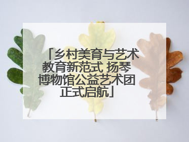 乡村美育与艺术教育新范式 扬琴博物馆公益艺术团正式启航