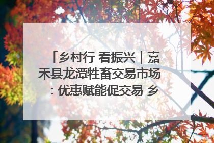 乡村行 看振兴｜嘉禾县龙潭牲畜交易市场：优惠赋能促交易 乡村振兴添动能
