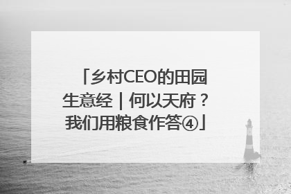 乡村CEO的田园生意经｜何以天府？我们用粮食作答④