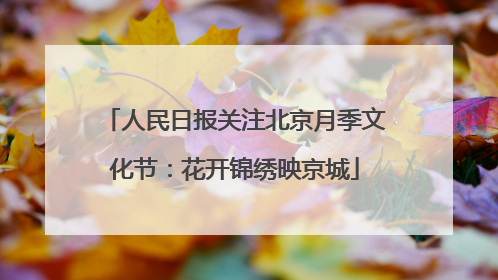 人民日报关注北京月季文化节：花开锦绣映京城