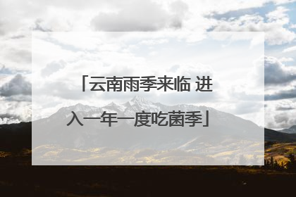 云南雨季来临 进入一年一度吃菌季