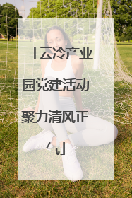 云冷产业园党建活动聚力清风正气
