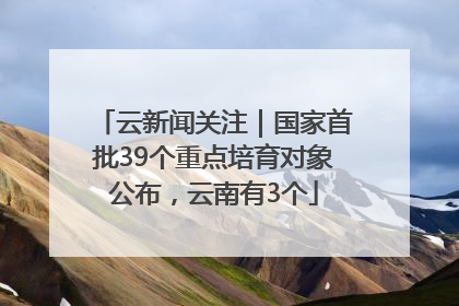 云新闻关注｜国家首批39个重点培育对象公布，云南有3个