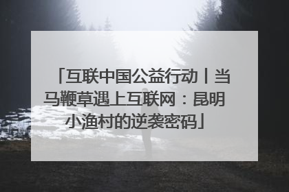 互联中国公益行动丨当马鞭草遇上互联网：昆明小渔村的逆袭密码