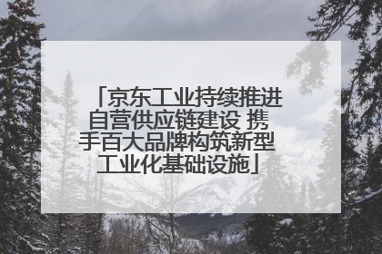 京东工业持续推进自营供应链建设 携手百大品牌构筑新型工业化基础设施