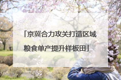 京冀合力攻关打造区域粮食单产提升样板田