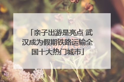 亲子出游是亮点 武汉成为假期铁路运输全国十大热门城市