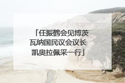 任振鹤会见博茨瓦纳国民议会议长凯奥拉佩采一行