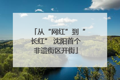 从“网红”到“长红” 沈阳首个非遗街区开街
