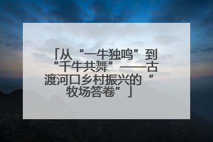 从“一牛独鸣”到“千牛共舞”——古渡河口乡村振兴的“牧场答卷”