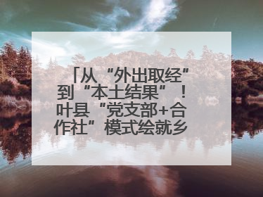 从“外出取经”到“本土结果”！叶县“党支部+合作社”模式绘就乡村振兴新图景