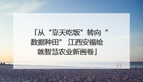 从“靠天吃饭”转向“数据种田” 江西安福绘就智慧农业新画卷