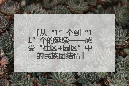 从“1”个到“11”个的延续——感受“社区+园区”中的民族团结情