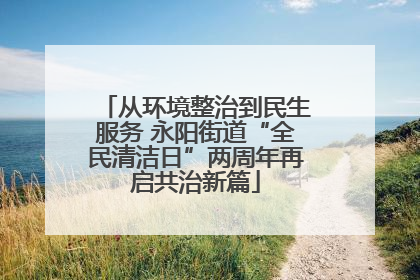 从环境整治到民生服务 永阳街道“全民清洁日”两周年再启共治新篇